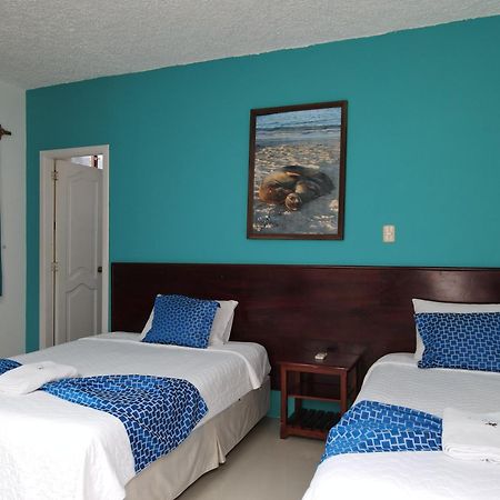 Hotel La Gran Tortuga - ᯤ Starlink Puerto Villamil Buitenkant foto