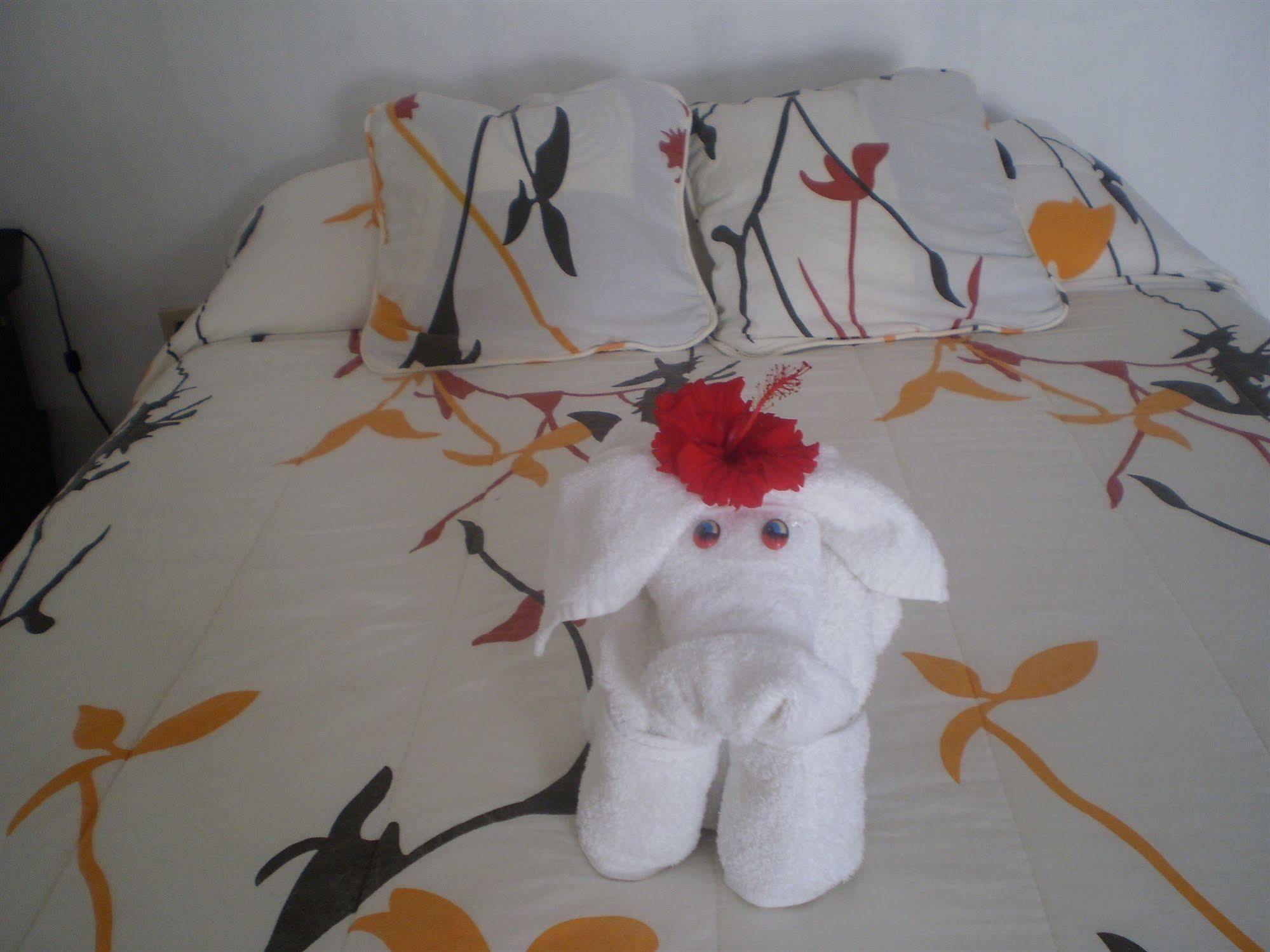 Hotel La Gran Tortuga - ᯤ Starlink Puerto Villamil Buitenkant foto