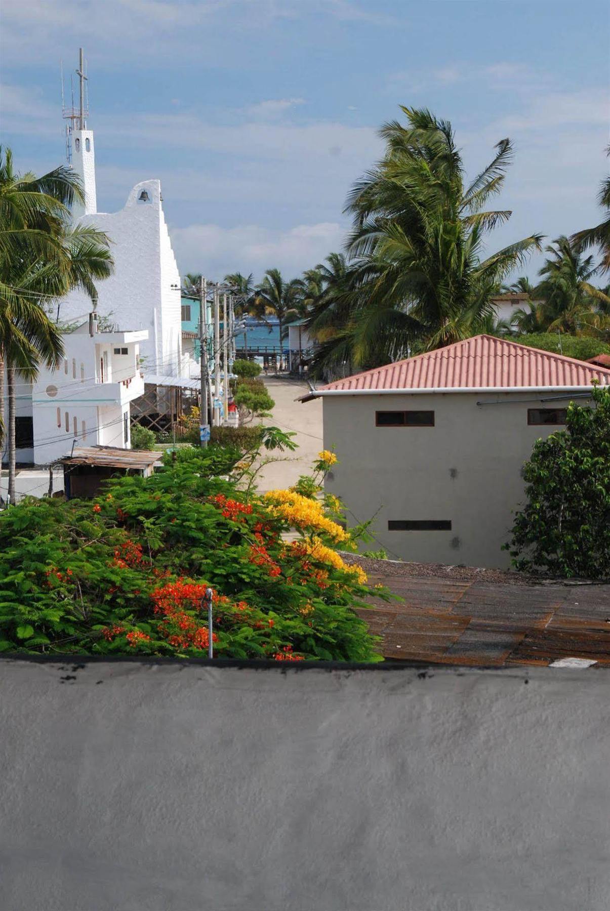 Hotel La Gran Tortuga - ᯤ Starlink Puerto Villamil Buitenkant foto
